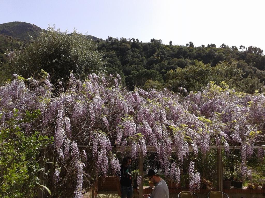B&B La Quercia San Gregorio  Екстериор снимка