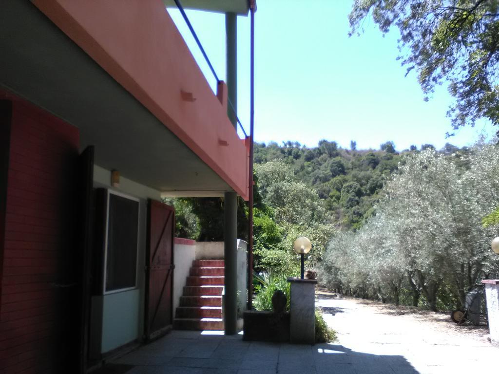 B&B La Quercia San Gregorio  Екстериор снимка